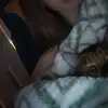 Heidi 🌹 - @heidiashby88 - TikTok