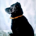 Heidi Ashby Matthews Skoof - @heidigirlx - Instagram