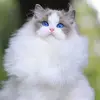 Heidi.Atkinson - @heidiatkinsonsjgaghzu - TikTok