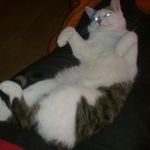 Heidi Baer - @heidi.baer.3 - Instagram