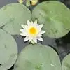 Heidi Baerwald-Robertson - @heidi.baerwaldrob - TikTok