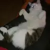 heidibaer6 - @heidibaer6 - TikTok