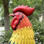 Heidi Baldwin - Facebook