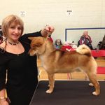 Heidi Bartlett - @heidi.bartlett.98 - Instagram