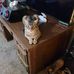 Heidie Bartlett - Facebook