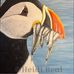 Heidi Beal  - Artist - Facebook