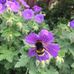 Heidi Beal - NYR Organic Independent Consultant - Facebook