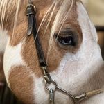 Heidi Ford Beam - @heidi_beam - Instagram