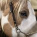 Heidi Ford Beam - Facebook