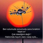 Heidi bean - @22haydi27 - Instagram
