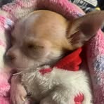 Heidi Benson - Facebook