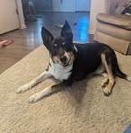 Heidi J Benson - Facebook