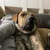 heidibenson18 - @heidibenson18 - TikTok