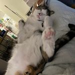 Heidi Best - @heidithebestone - Instagram