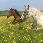 Heidi - @heidi_best_ - Instagram