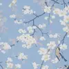 Heidi_bingham - @heidi_bingham - TikTok