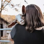 Heidi Black | Homesteading Mama - @gracefulgaitfarm - Instagram