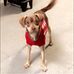Heidi Blakleyjohnson - Facebook