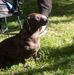 Heidi Bledsoe - Facebook