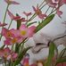 Heidi Becker - Facebook