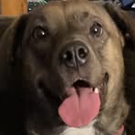 Heidi Bragg - Facebook