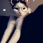 Heidi Brill - @heidi.brill.3 - Instagram