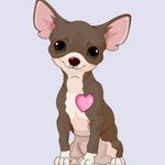 Heidi Brill - @heidibrill1 - Instagram