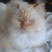 Heidi Becker - Facebook