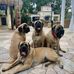 Heidi-Ann Burdick - Facebook