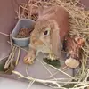 heidiburkett - @heidiburkett - TikTok