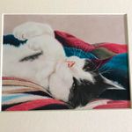 Heidi Burnham - @burnham4243 - Instagram
