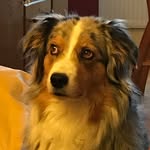 Gertrud Heidi Busch - @gertrudbusch - Instagram