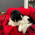 Heidi Buss - @buss599 - Instagram
