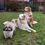 Heidi Bussink - @heidibussink - Instagram