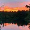 heidibuss991 - @heidibuss991 - TikTok
