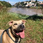 Heidi Cassidy - @zigstaofinsta_ziggy - Instagram