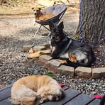 Heidi Cassidy Restucci - Facebook