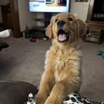 Heidi Keaton - Facebook