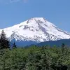Heidi C Hoyle - @heidi.c.hoyle - TikTok