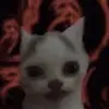 Heidi - @heidiichristina - TikTok