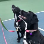 Heidi Christy - @heidicchristy - Instagram