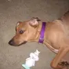 Heidi Mcclary - @heidi.mcclary - TikTok