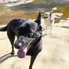 heidi - @heidiclay76 - TikTok