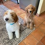 Heidi Clayton - @heidijcclay - Instagram