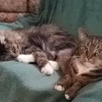 Heidi Marie Clayton Hitchcock - @heidiclaytonhitchcock - Instagram