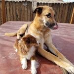 @cody_and_heidi - Instagram