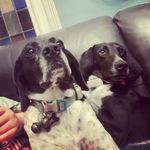 Heidi and cody - @heidi_and_cody - Instagram