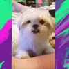 heidicombs482 - @heidicombs482 - TikTok
