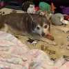 heidi - @heidicramer9356 - TikTok
