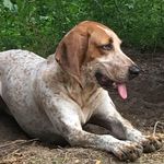Heidi Crockett - @heidi.seidel.7 - Instagram